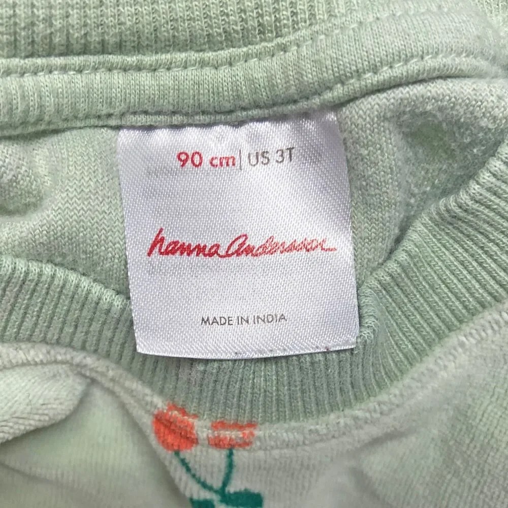 Hanna Andersson Sweatpants & Top Size 3T Green Cherry Print Velour Cotton Blend